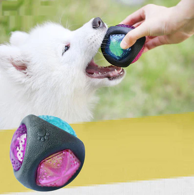 Pet Play Sphere