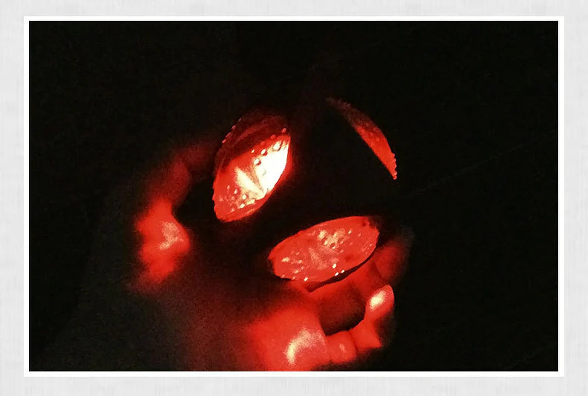 Pet Play Sphere