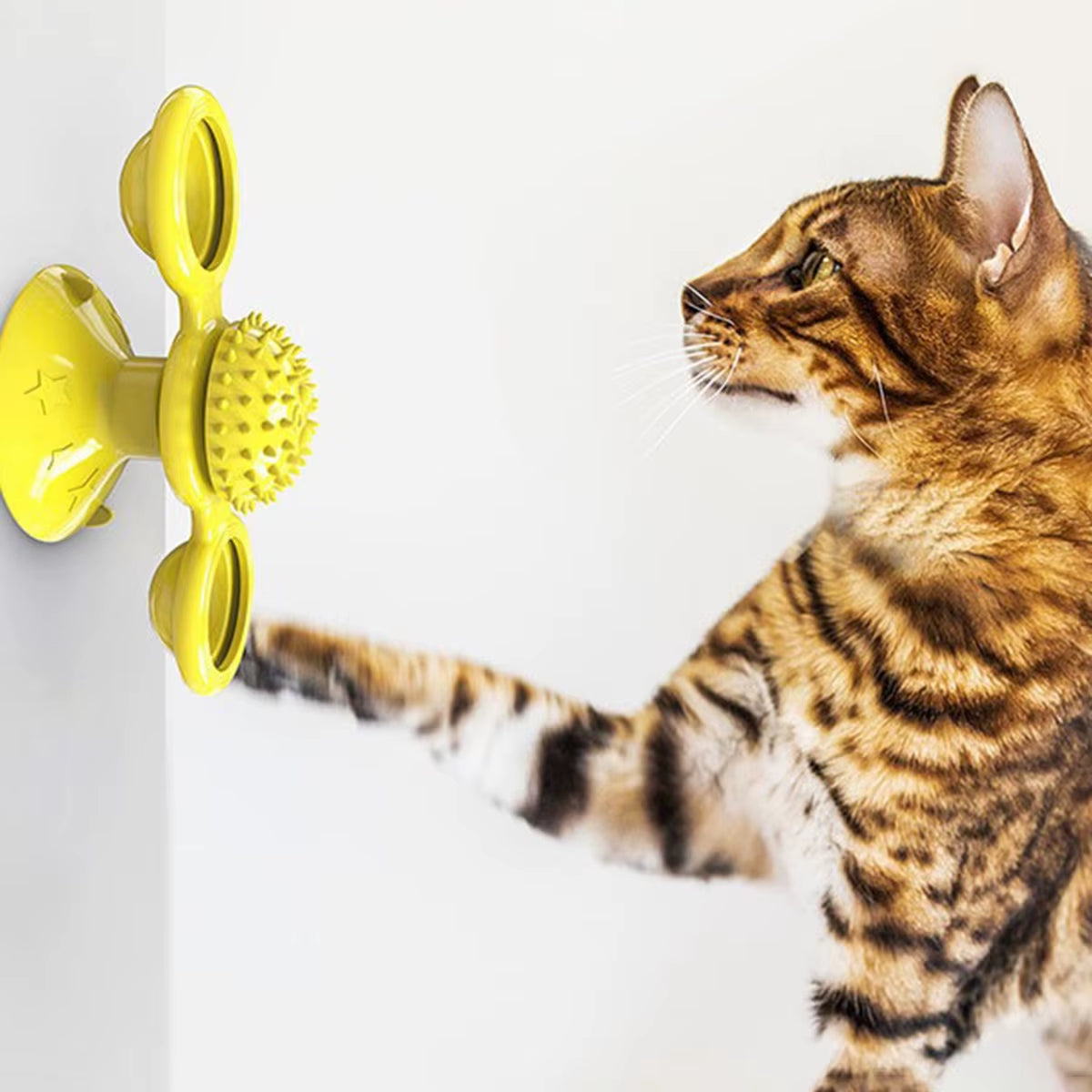 Interactive Multifunctional Cat Toy with Glowing Ball & Catnip - Suction Cup Design for Engaging Play and Teeth Massage