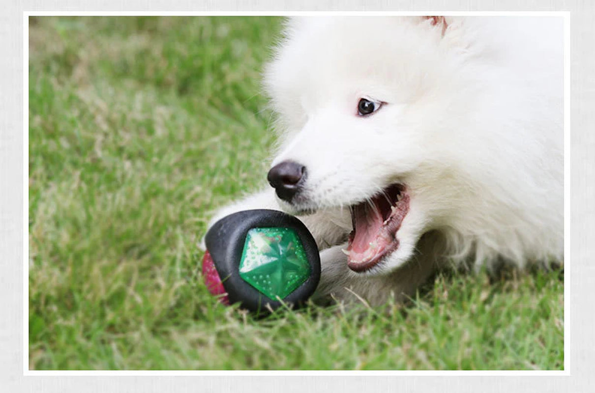Pet Play Sphere