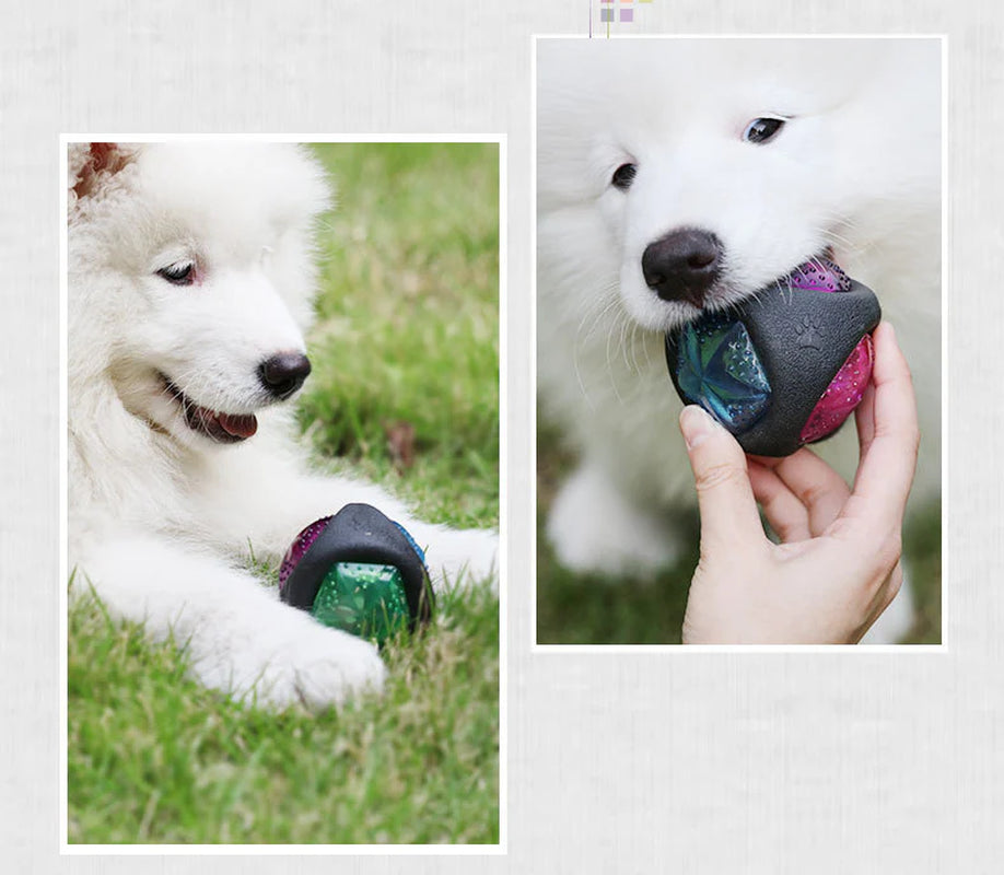 Pet Play Sphere