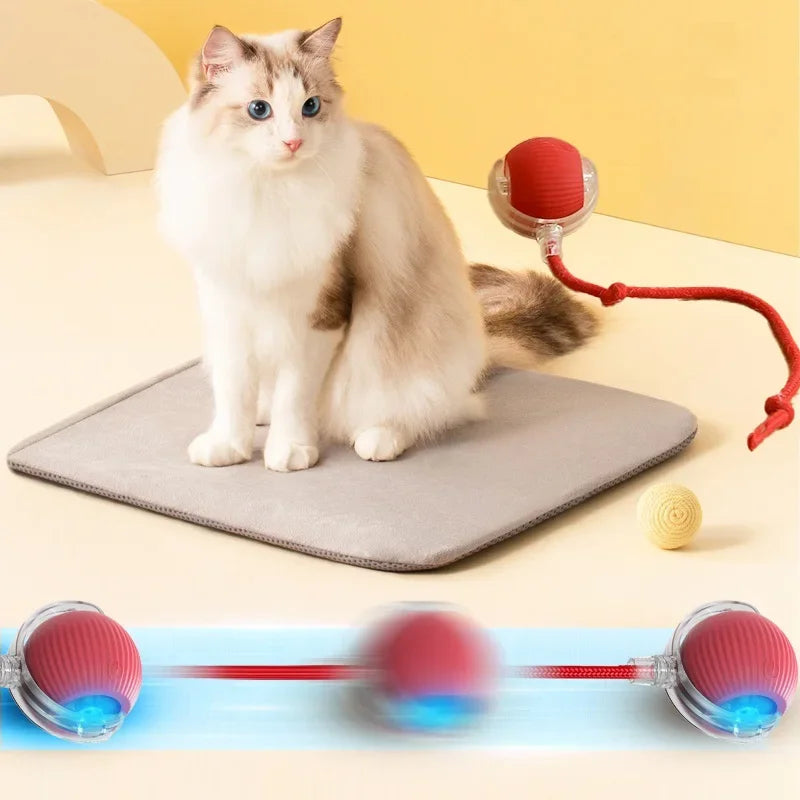 Pets Toys